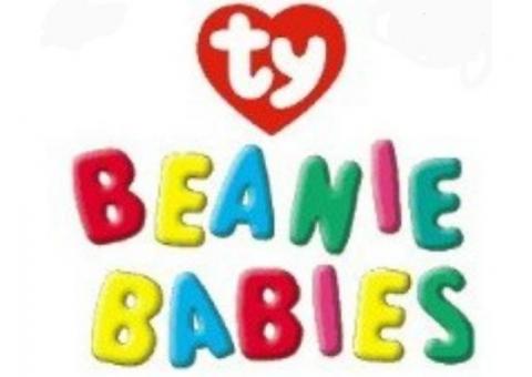 WANTED! LARGE Quanties of BEANIE BABIES